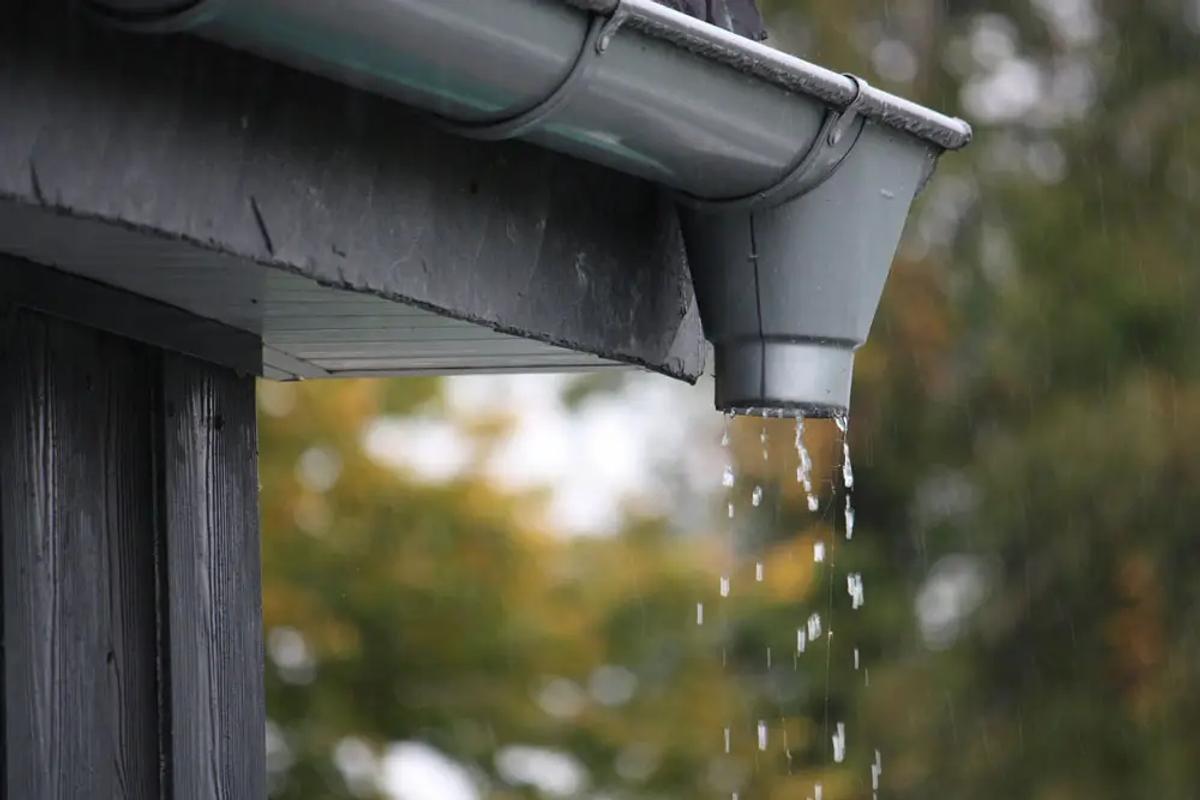Expert Advice on Gutter Cleaning and Maintenance