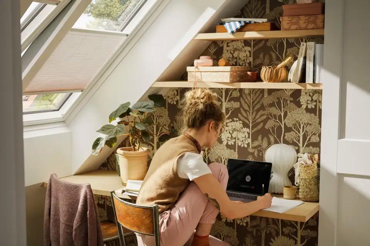 Expert Skylight Installation Services