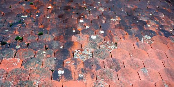 Idaho Homeowners: Repair Your Hail Damage Roof Now