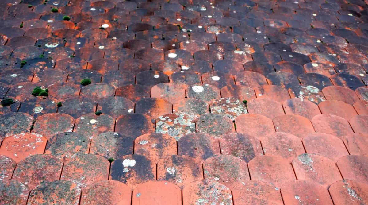 Idaho Homeowners: Repair Your Hail Damage Roof Now