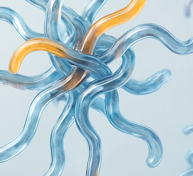 Tangles