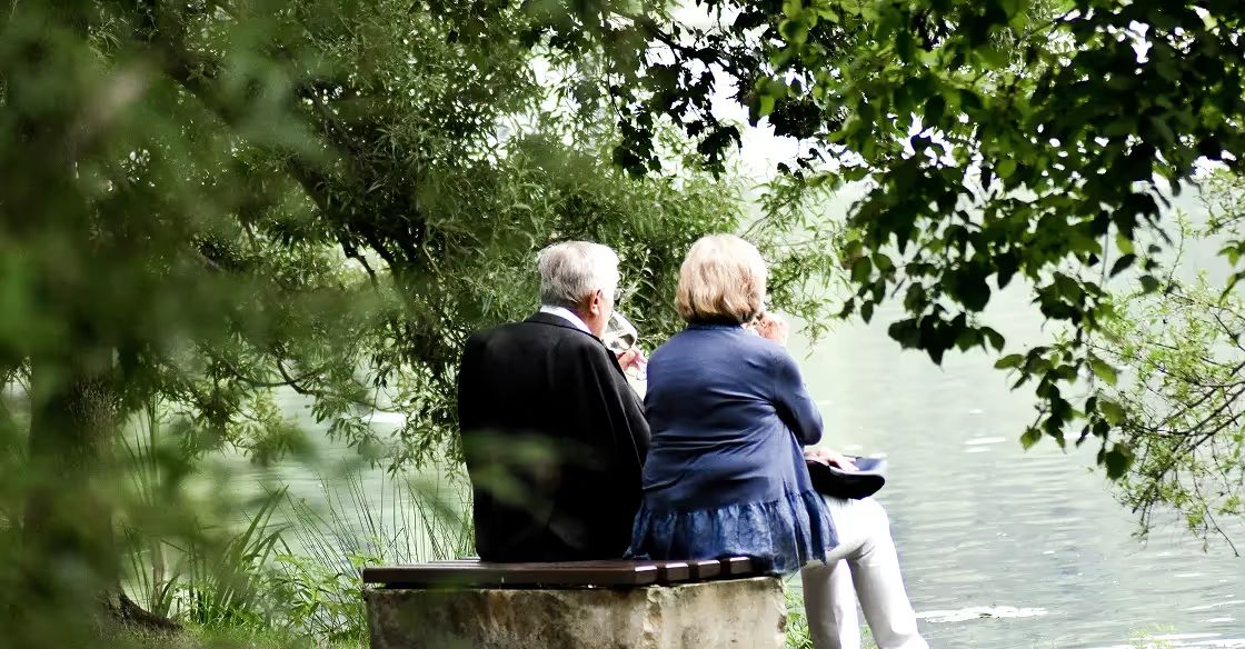 Two people with white hair sitting on a bench by the water, surrounded by overhanging tree branches and foliage