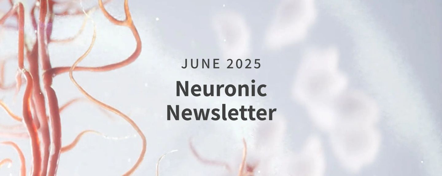 Stylized illustration of blood vessels with text "JUNE 2025 Neuronic Newsletter