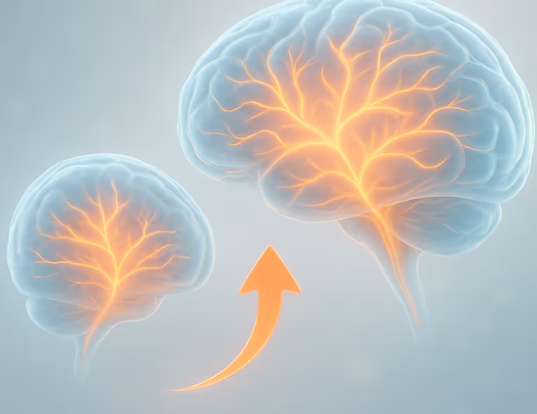 Two translucent brains with glowing orange neural networks inside, connected by an upward-curved orange arrow showing progression or growth