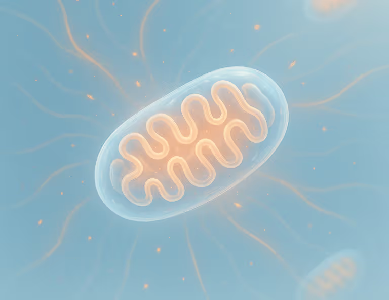 Mitochondrial Dysfunction