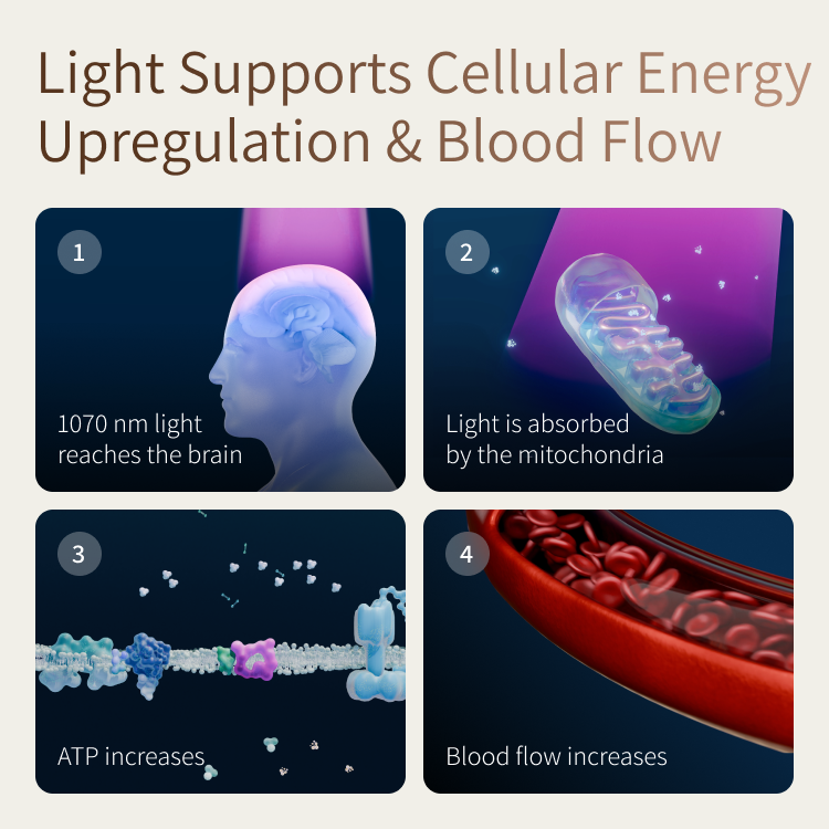 How the light works: 1070 nm reaching the brain, absorption by mitochondria, increased ATP, and increased blood flow.