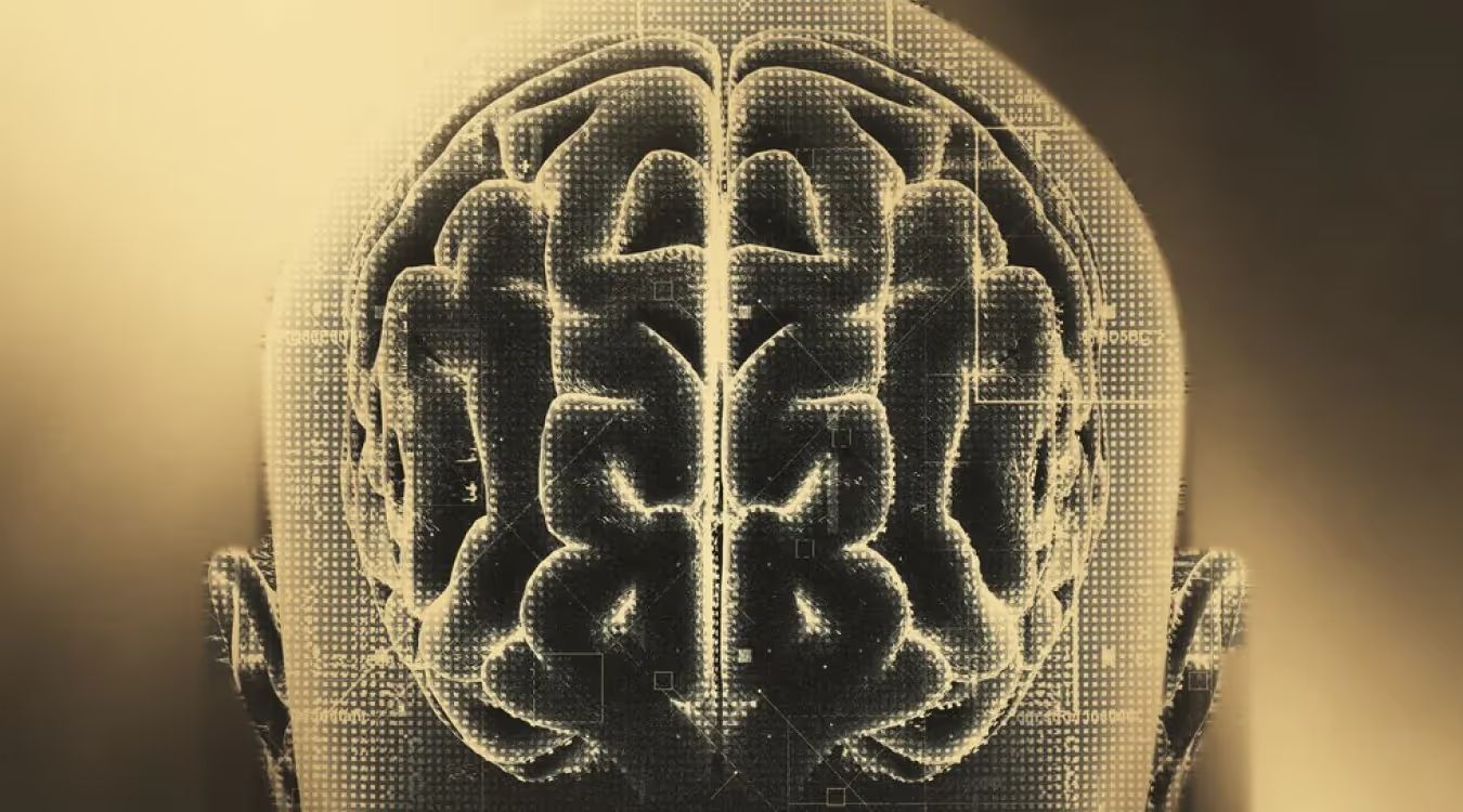 Axial cross-section of human brain showing bilateral hemispheres and ventricles with halftone texture overlay