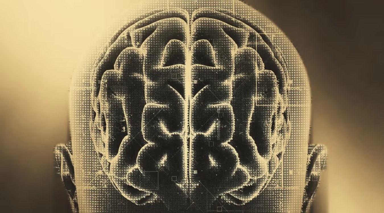 Axial cross-section of human brain showing bilateral hemispheres and ventricles with halftone texture overlay