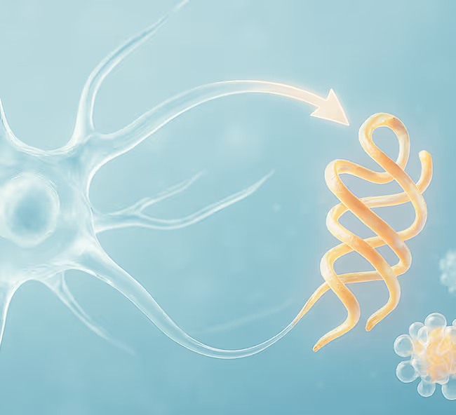 Neuron with extended axon pointing toward golden DNA double helix on blue background