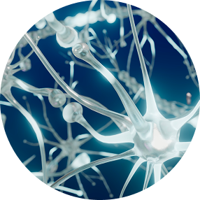 Promotes neurogenesis