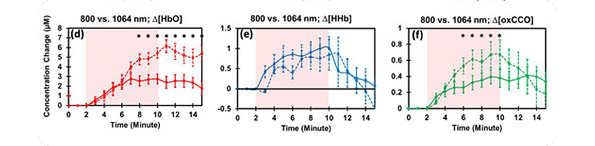 Three line graphs comparing 1064 nm (dashed) and 800 nm (solid) light over 15 minutes — oxygenated hemoglobin, deoxygenated hemoglobin, and oxidized cytochrome-c-oxidase — each showing a larger sustained change at 1064 nm.