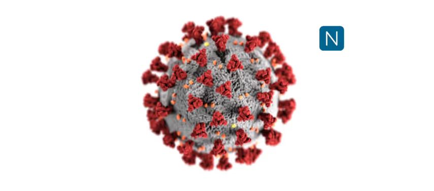 3D rendering of a virus particle with red spike proteins protruding from a gray spherical core