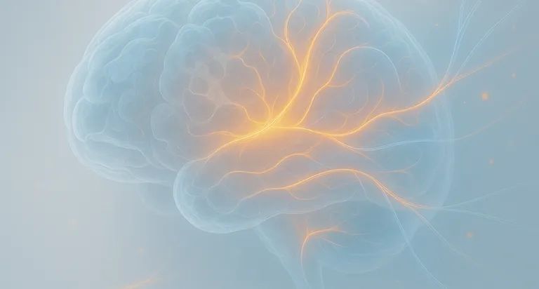 Translucent brain illustration with golden light radiating from the center outward