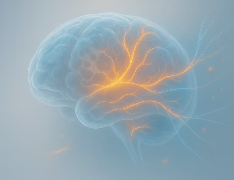 Structural and Functional Abnormalities
