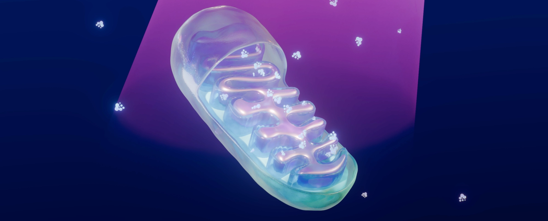 Top 5 Myths About Light Therapy: Debunked