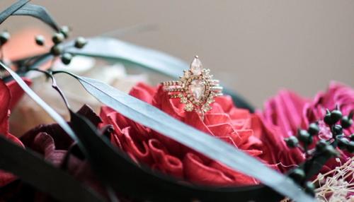 Alisha’s Wedding Planning