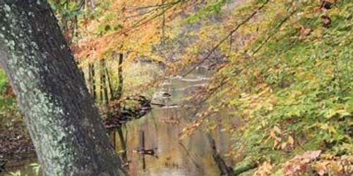 Fred Russ Forest Park