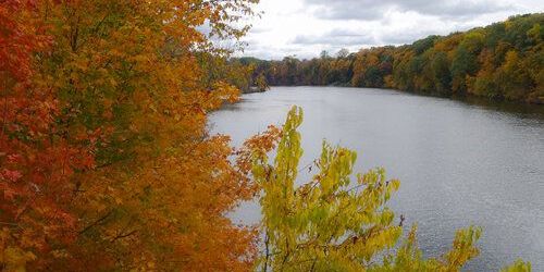 River Saint Joe