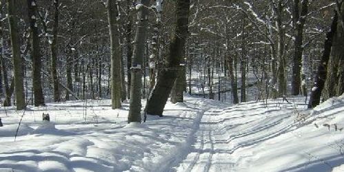 Cross-Country Skiing