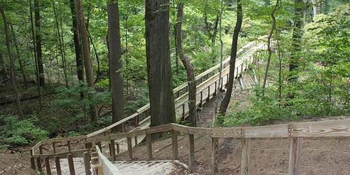 Warren Woods State Park