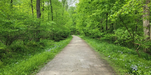 Kal-Haven Trail
