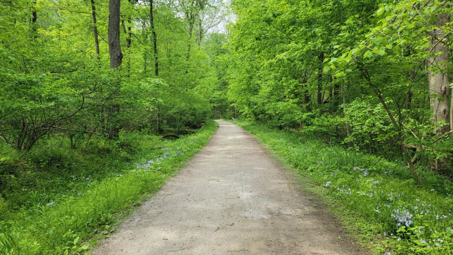 Kal-Haven Trail