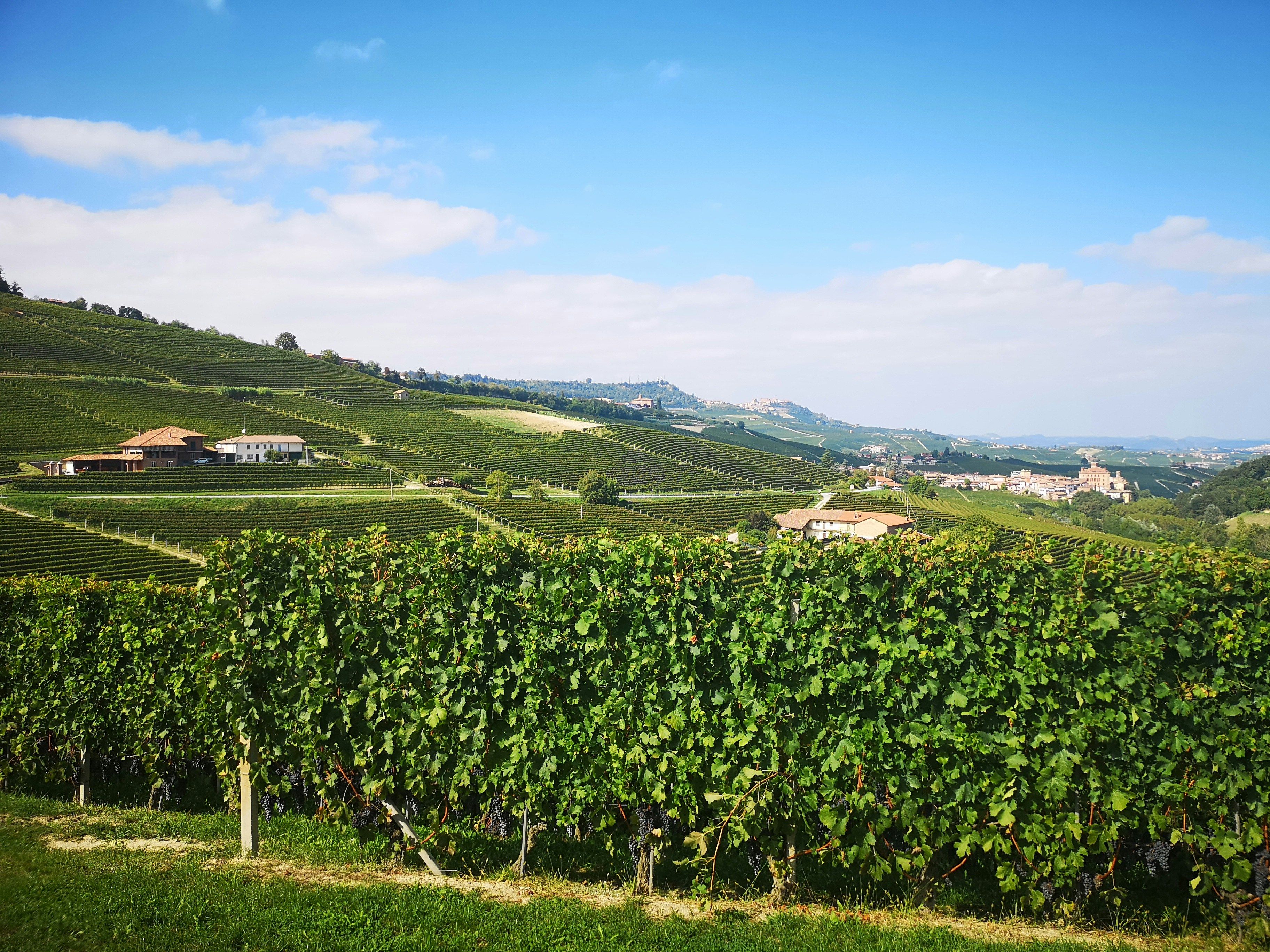 Piemonte