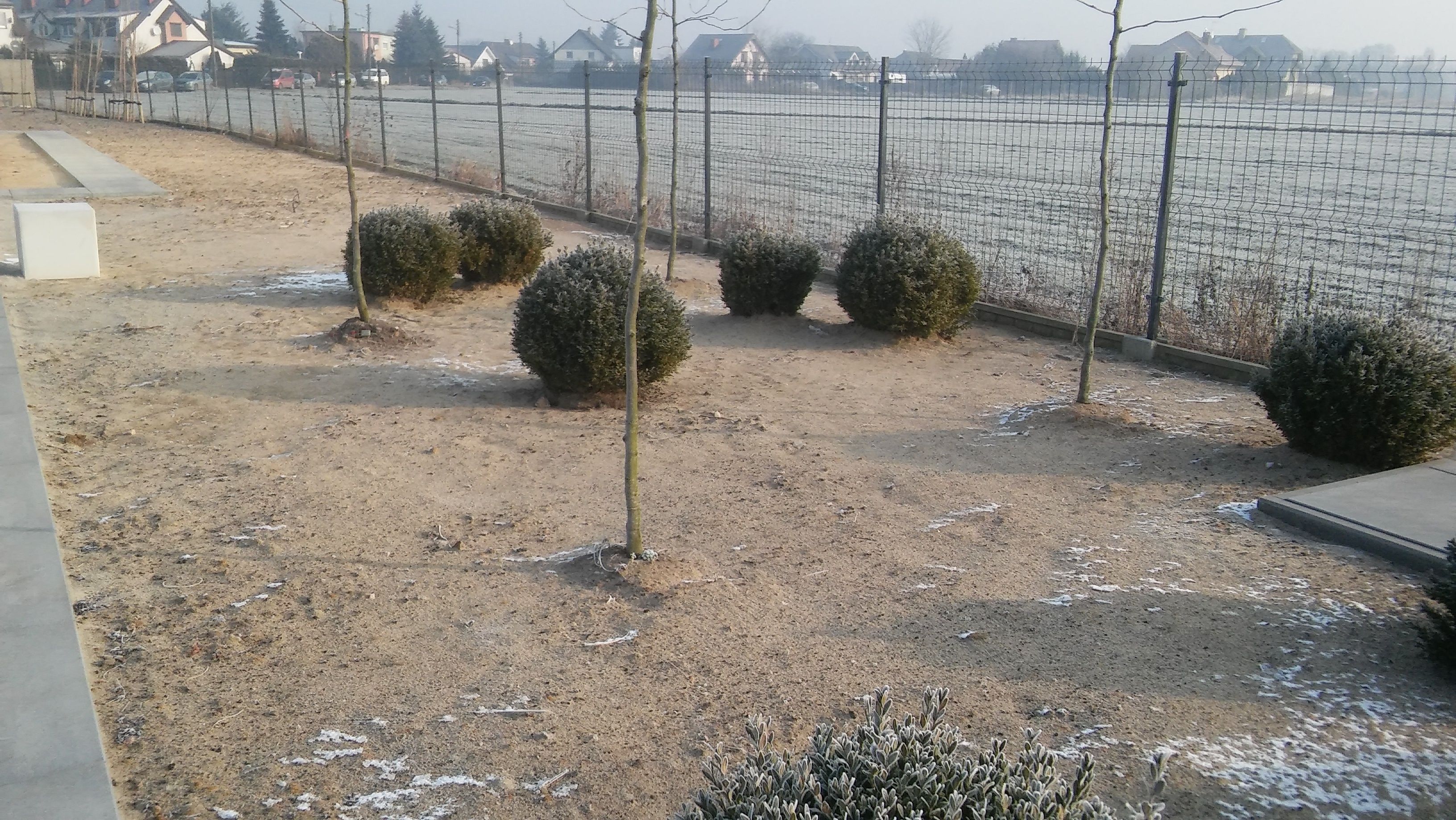 image-0fec71a3603135c71a47481b2b04eabae24e62b8-3264x1840-jpg