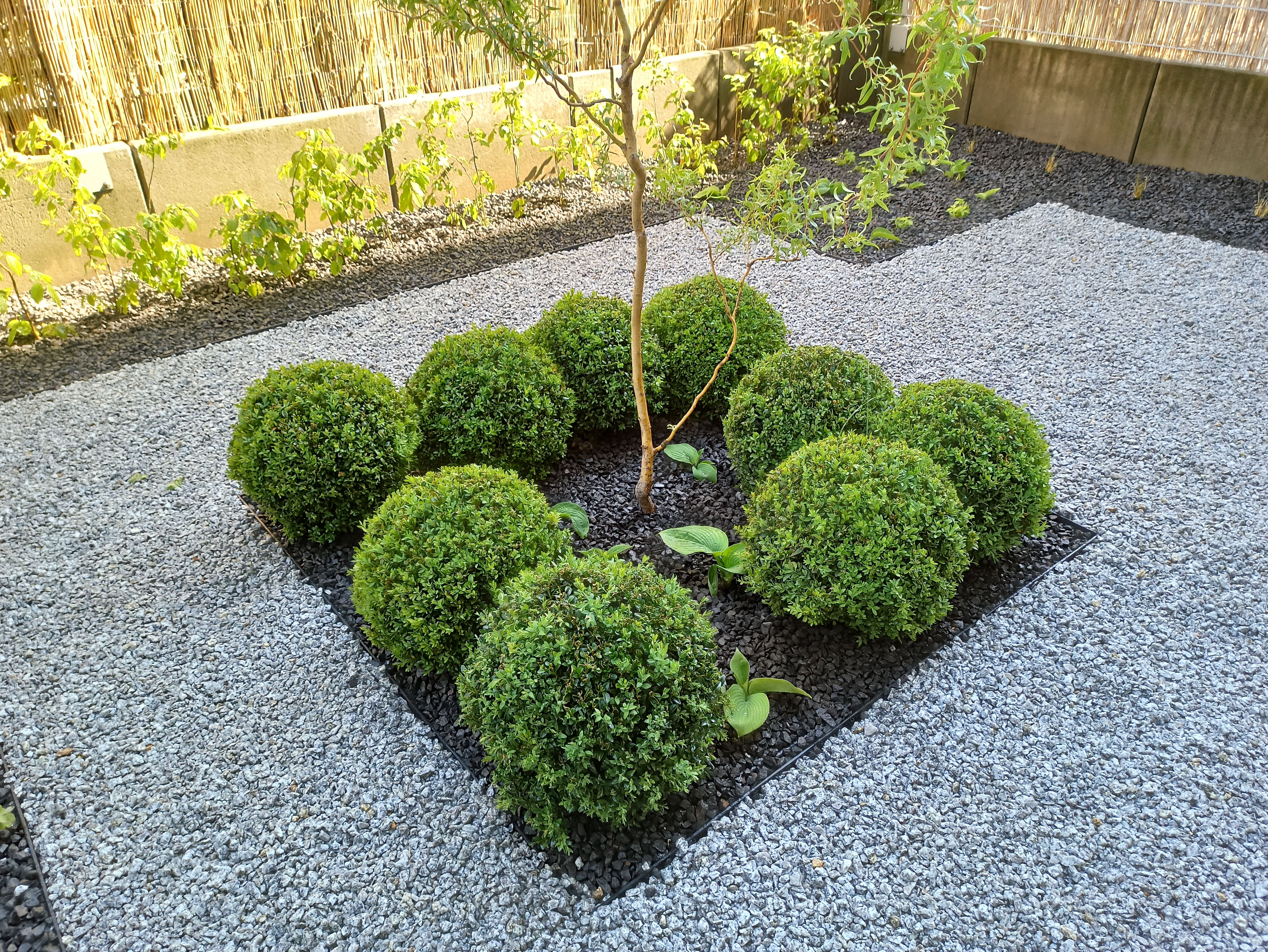 image-112688d041f939896c4d68c4d7885badd1ce6f64-4624x3472-jpg