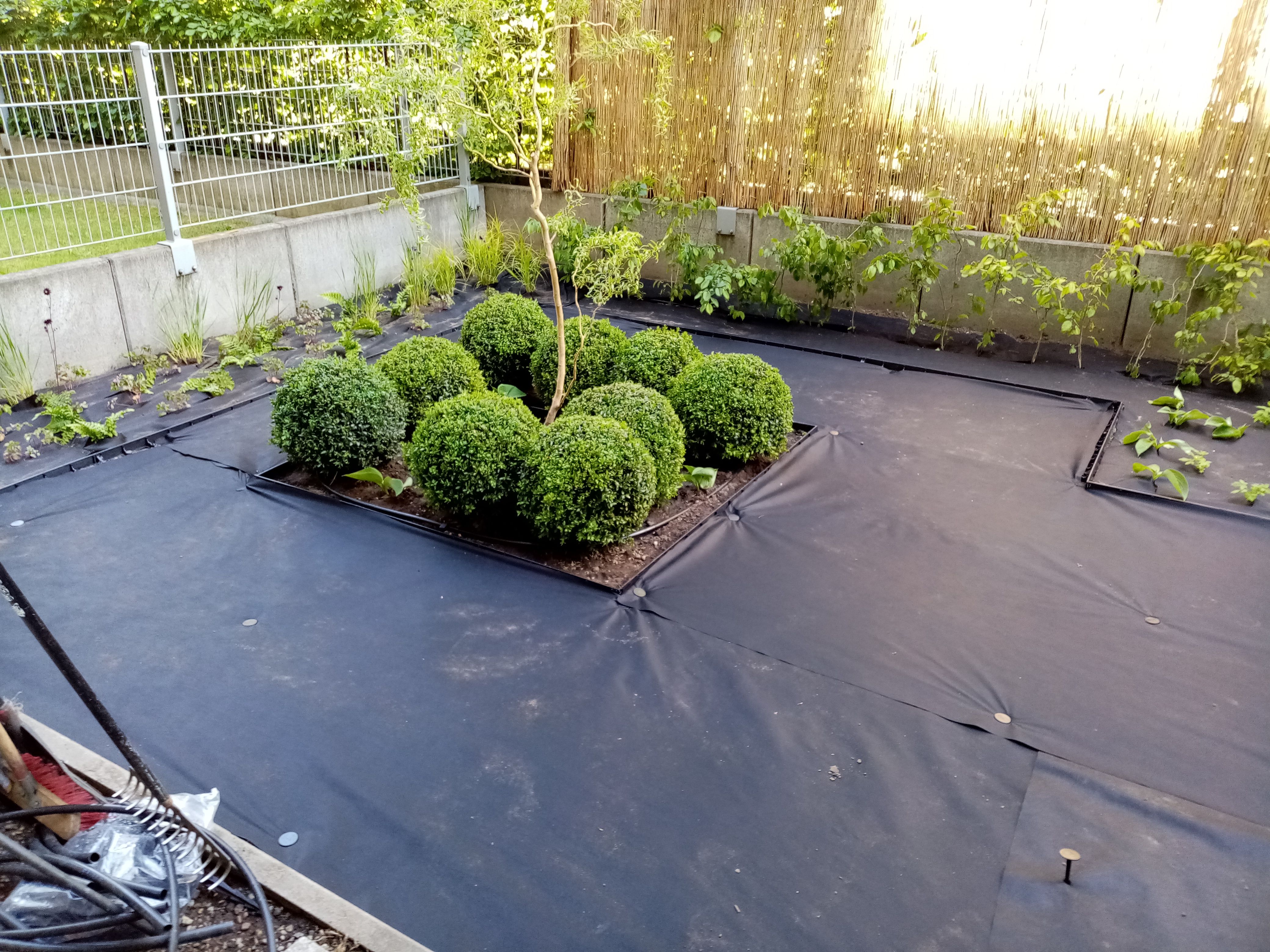 image-128a2f7405205777e0b4128a50c4e4831be62b4f-4160x3120-jpg