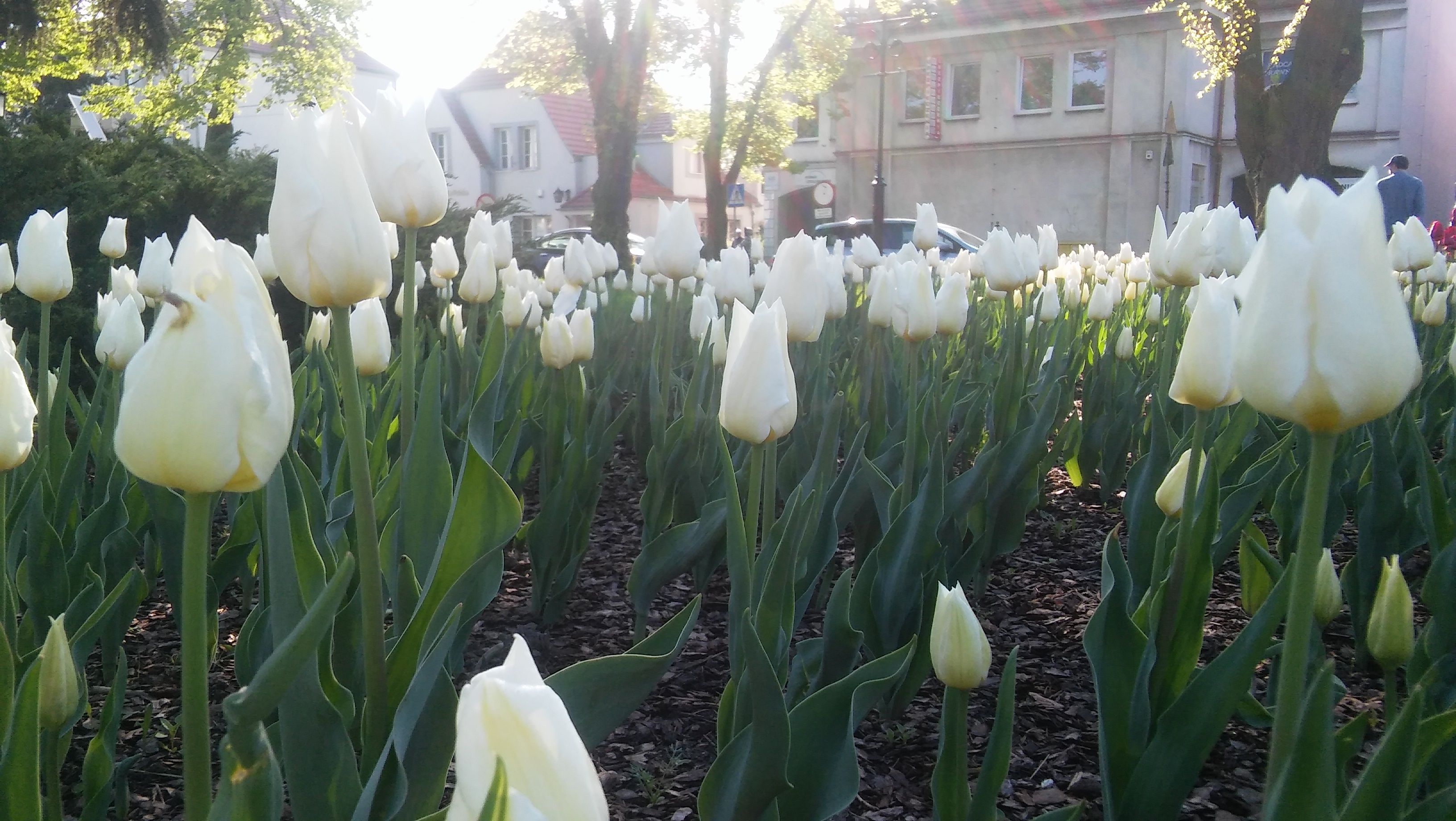 image-1661de4845b51bfcadf7ff4e33263623d2ae5d09-3264x1840-jpg