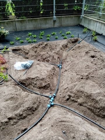 image-1c5be3903dd9341aa1aba9910bdc419e704f777d-360x480-jpg