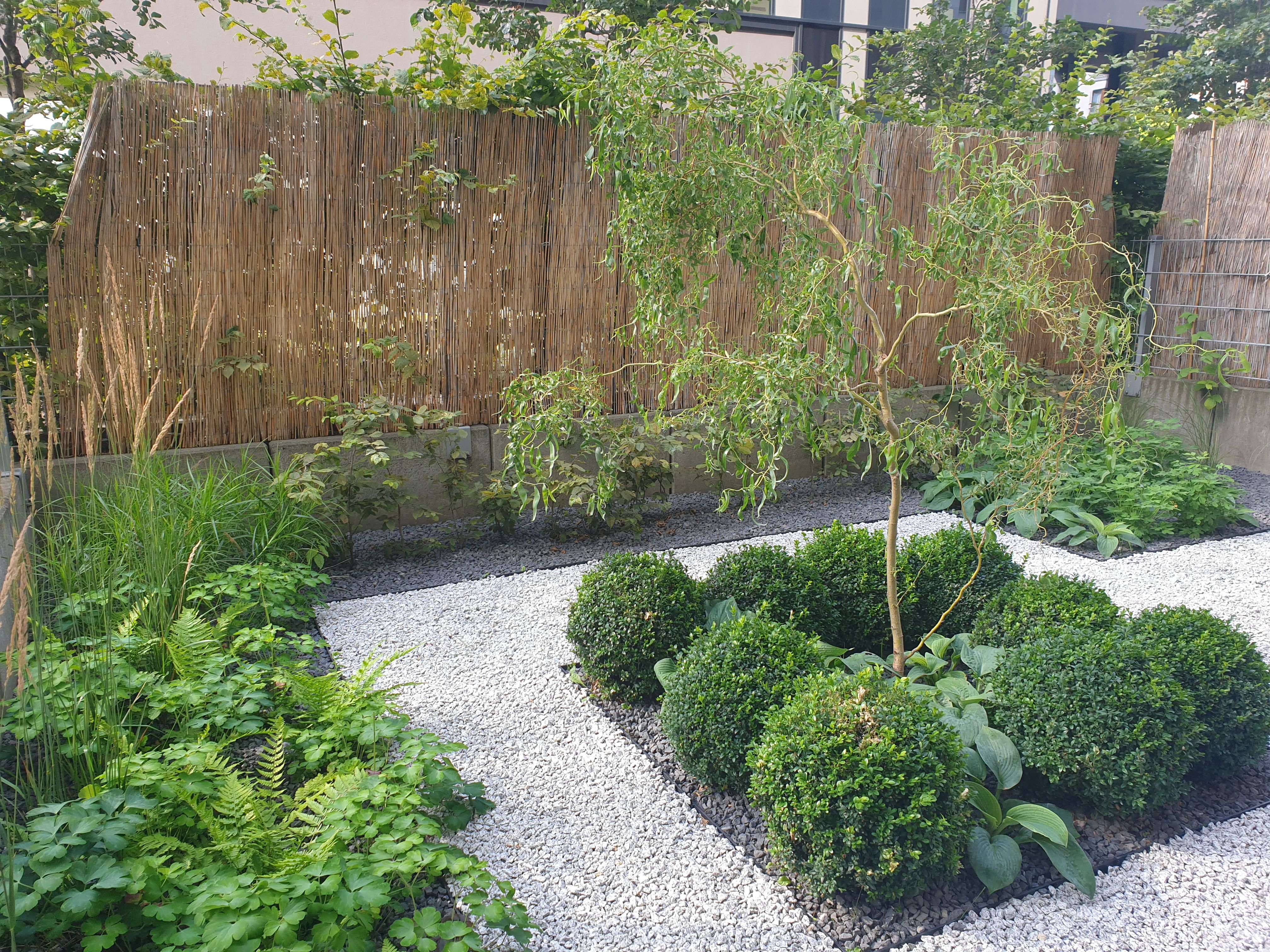 image-1cc6dbc0728a0bb7253fbfffeea679c619ebb140-4032x3024-jpg