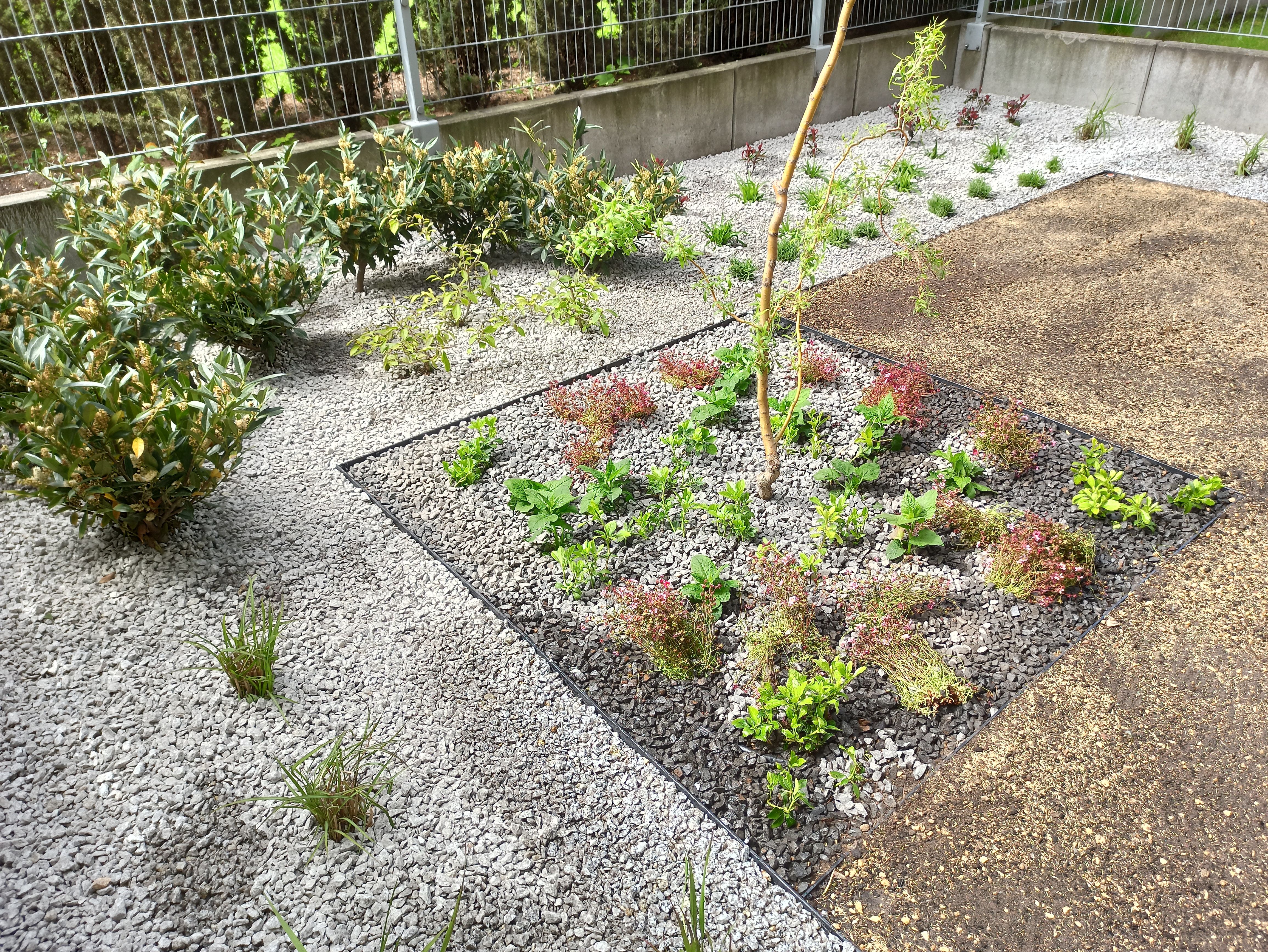 image-1e1ccef22768c352b315240f2561236b05cab87e-4624x3472-jpg