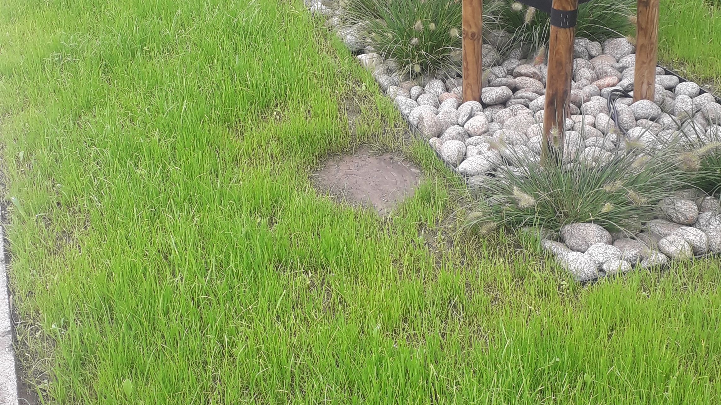 image-1e3d2ed905456b5e6b4ea20890110c6bad7c150b-2322x4128-jpg