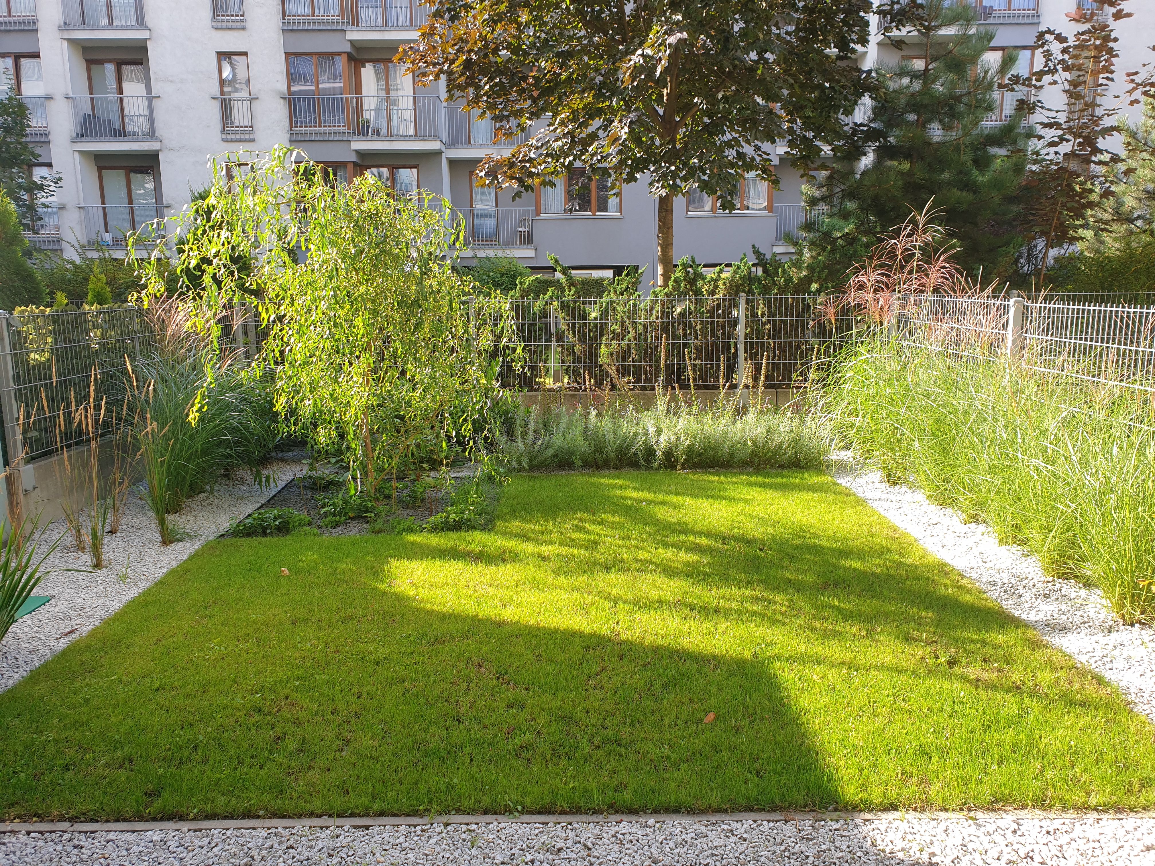 image-1ed26ce95a59bea1e5730d9b2a223717a5807151-4032x3024-jpg