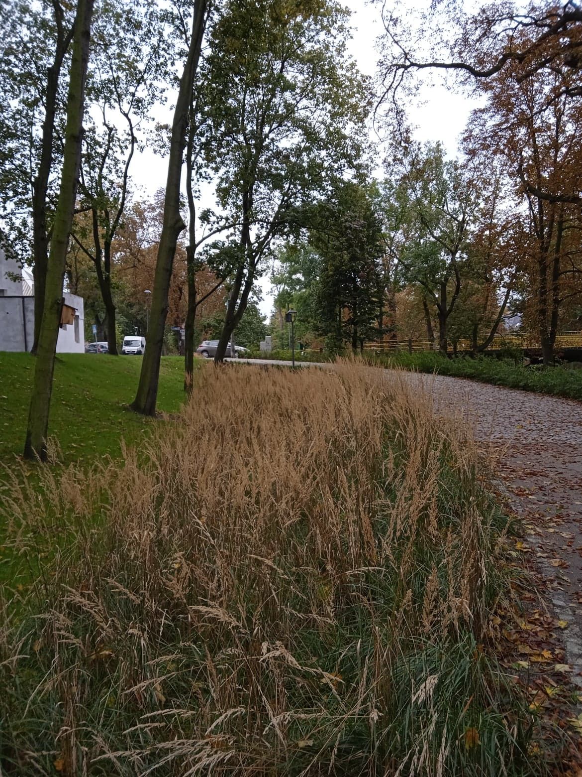 image-20f7cbe2d189eee62b991246c1202a9b4f725ce2-1170x1560-jpg