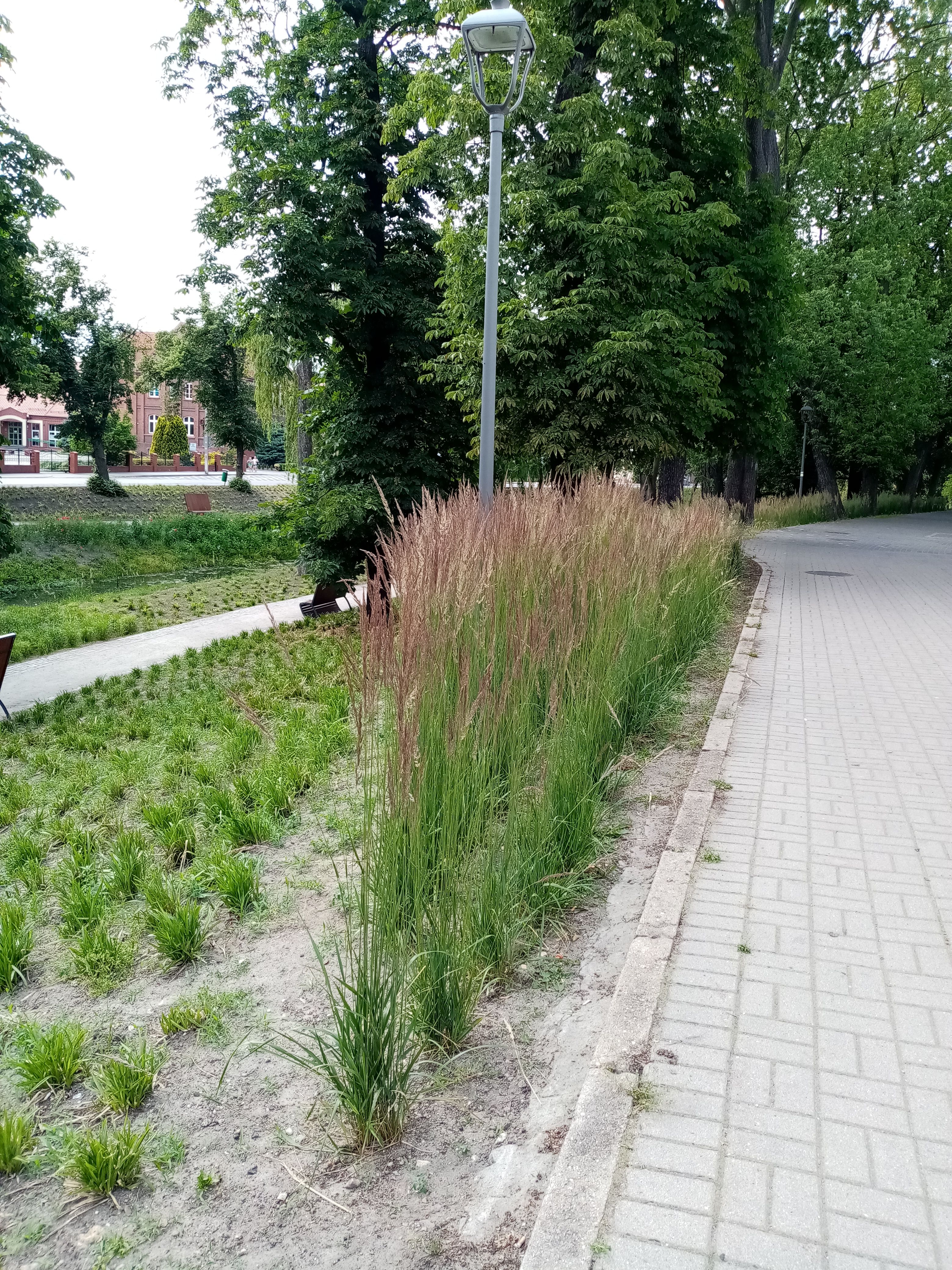 image-222700fc89da6029ac16e1e27c4237a0f40e5930-3120x4160-jpg