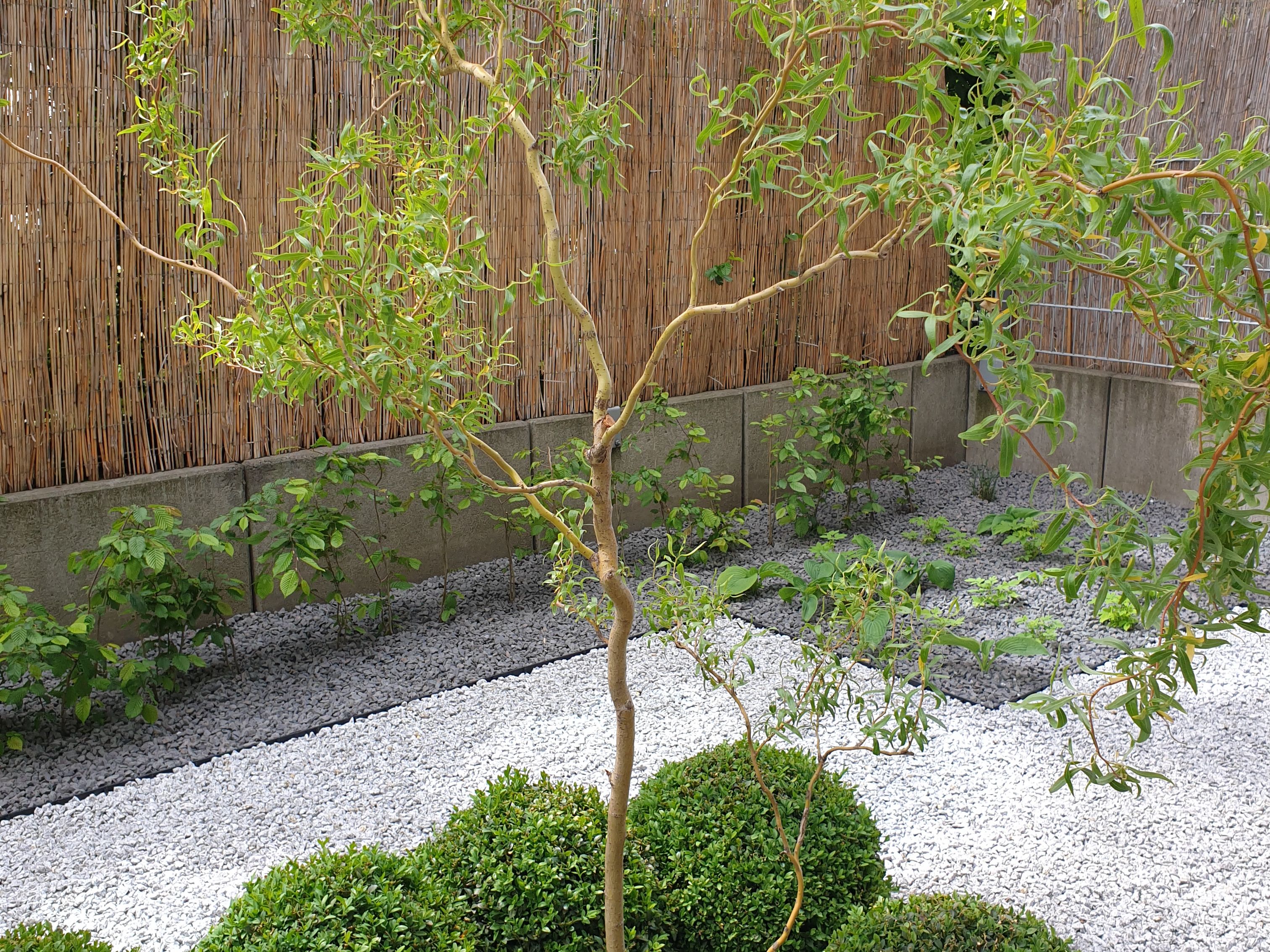 image-24bc9aebda787e6e6979ba0a1cf5cc5fe46b200b-3024x4032-jpg