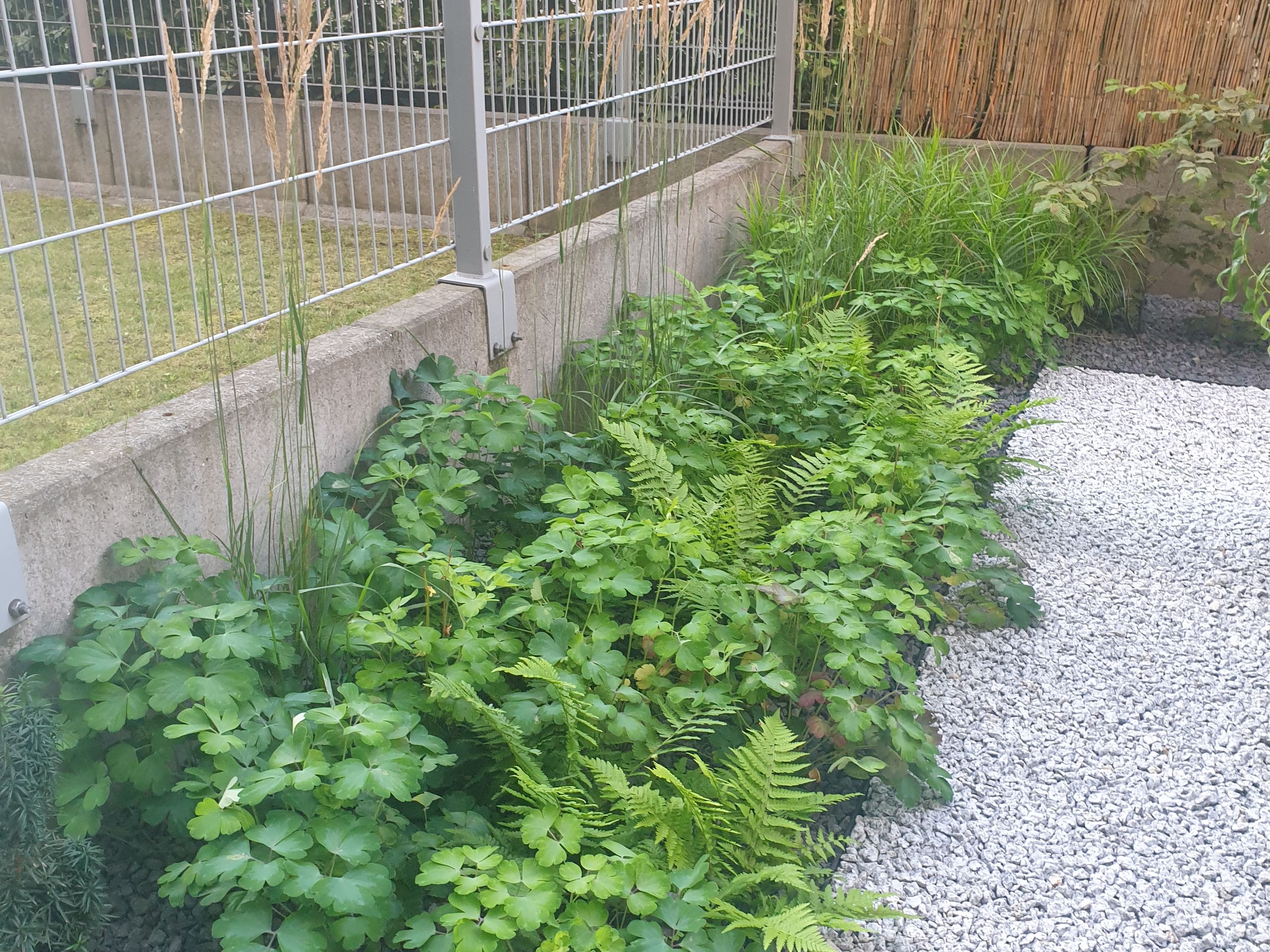 image-27c7e842c64c86da76baa0101d77ca6cafdd55ee-3024x4032-jpg