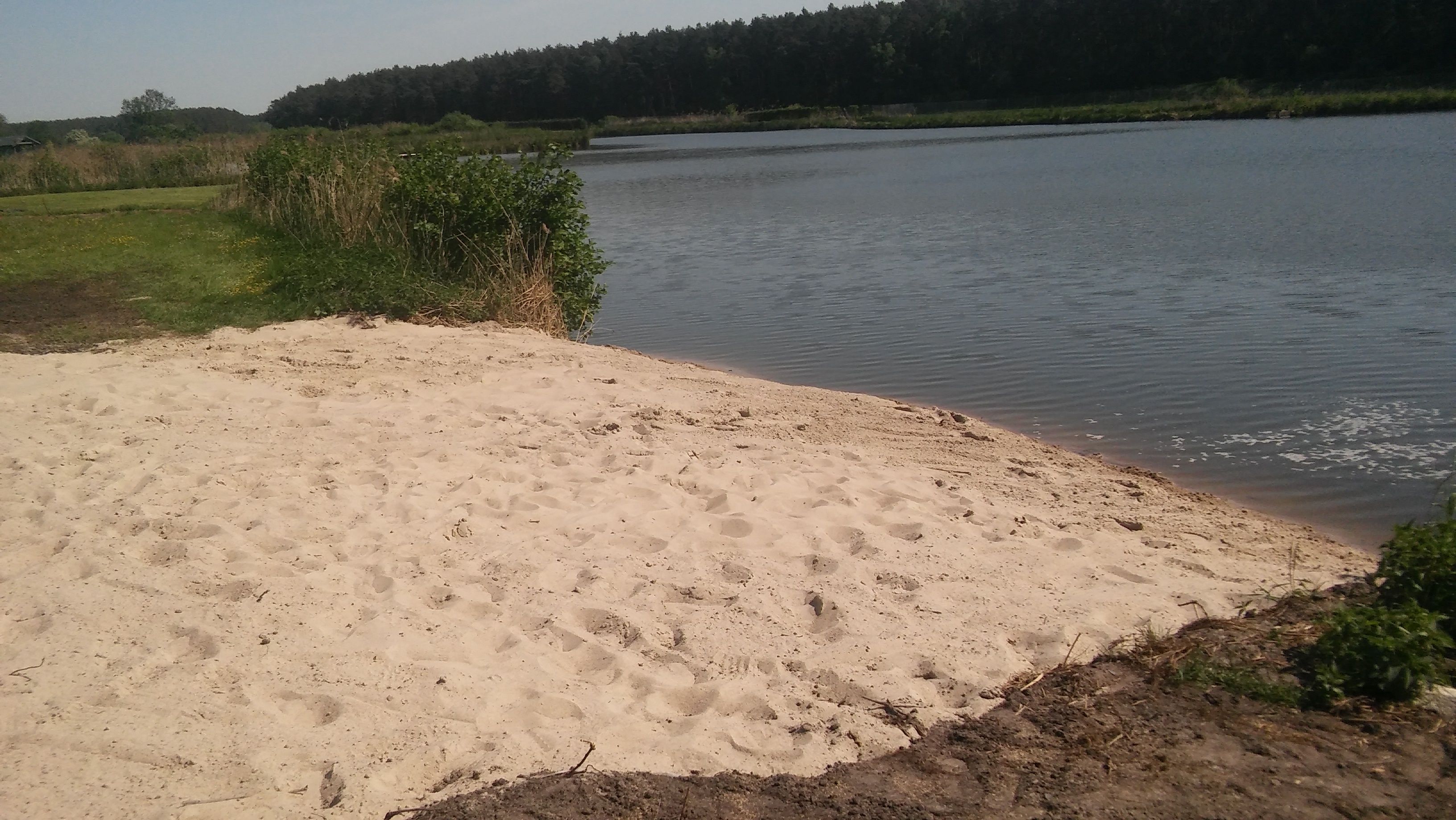 image-28b263ac38662c219f649db41e0956b575e20282-3264x1840-jpg