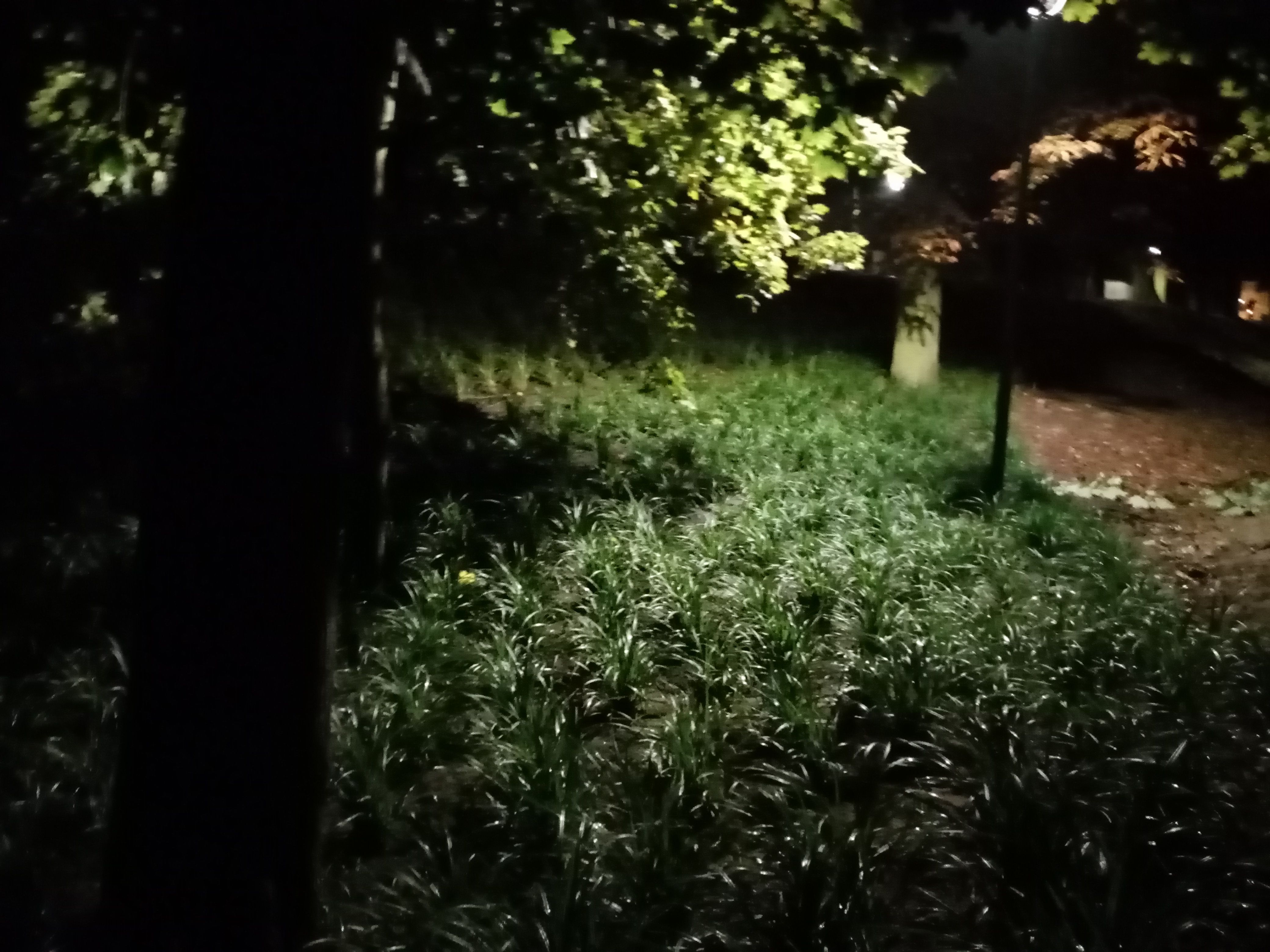 image-2e74e3d21fe54c372a5a2559ca8bd13b5cc87bd1-4160x3120-jpg