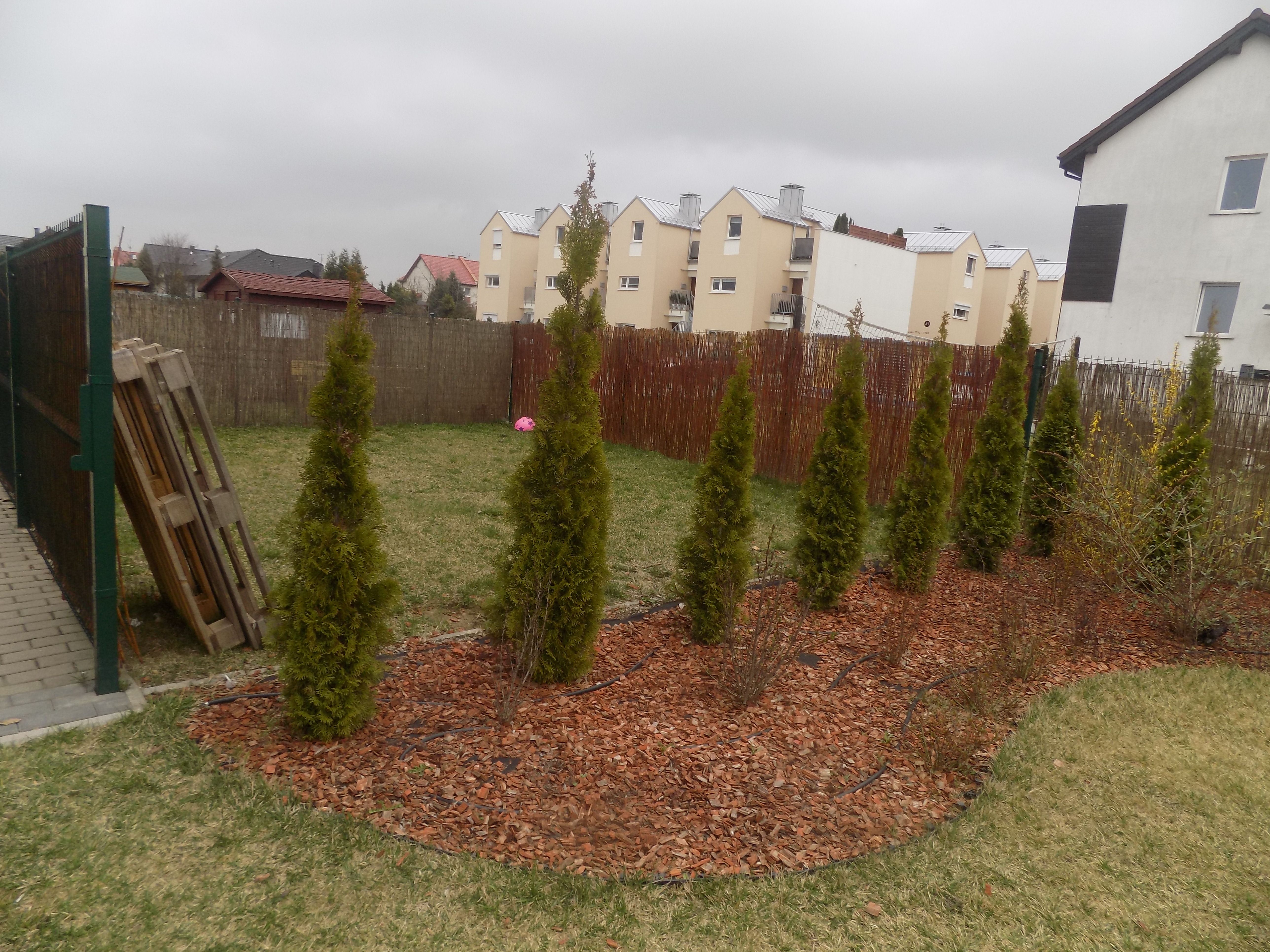 image-2fa5e903655f5004f1585185d02a897058bd25f7-5152x3864-jpg