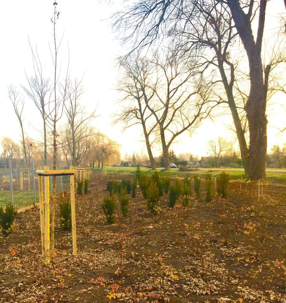 image-2faa40995112cd6bc1f0ebfdb2d6da6f4083eedb-966x1024-jpg