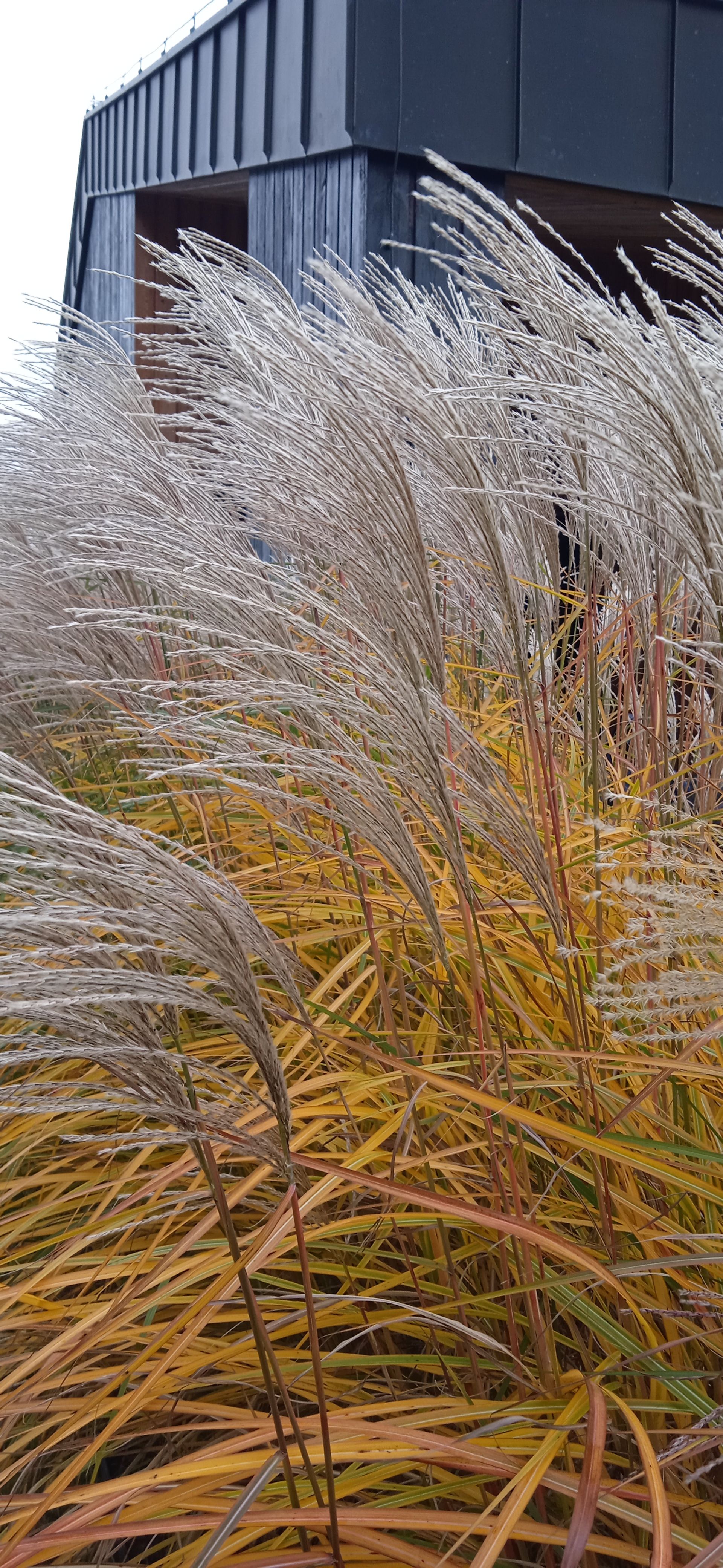 image-305d25d203761f90e37858c0f8f998a3de7b9bce-1920x4160-jpg