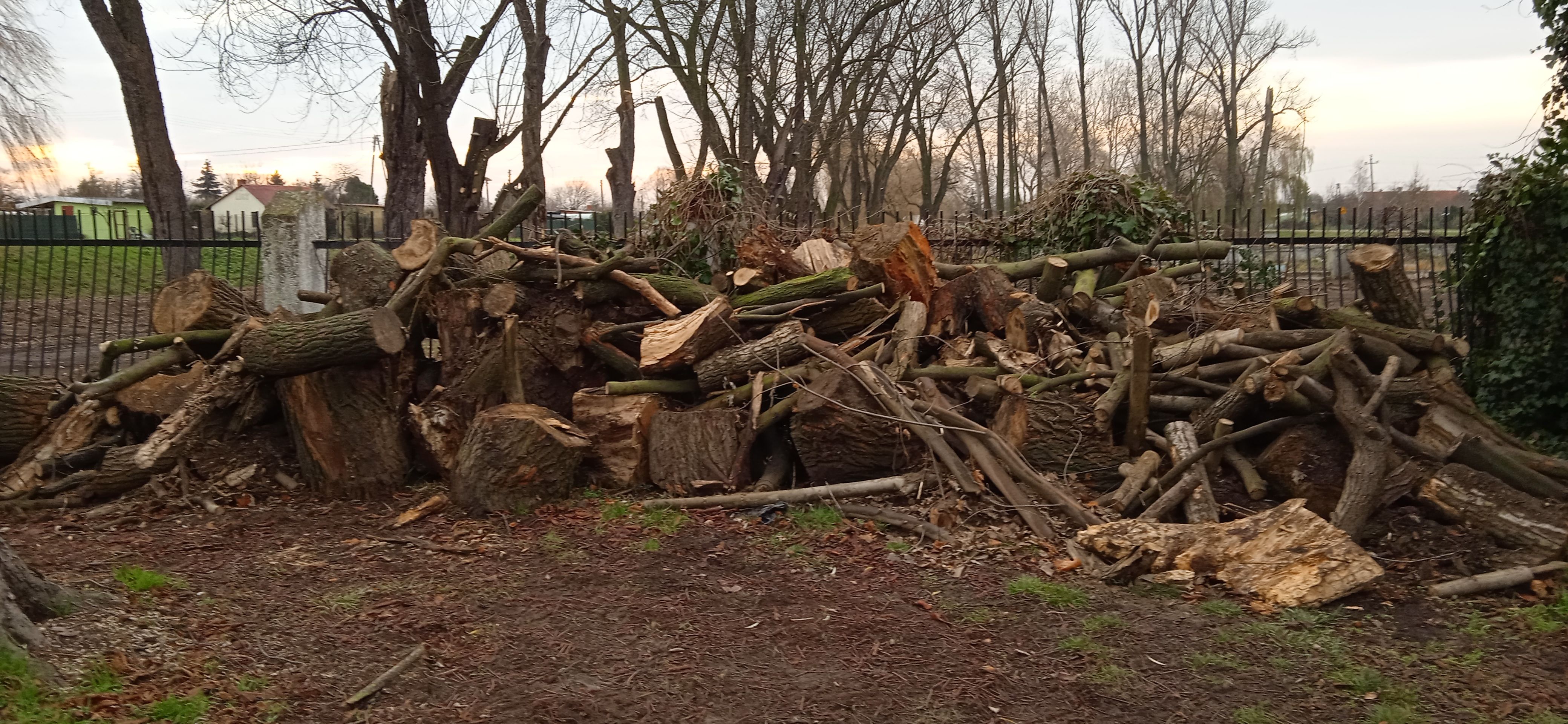 image-3571f1ba165031e619787b08a5b828992ec4b89e-4160x1920-jpg