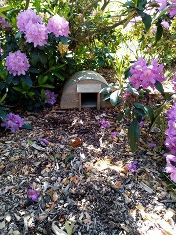 image-357f8588bac54983bdcecbe600f1d924e5aee68d-360x480-jpg