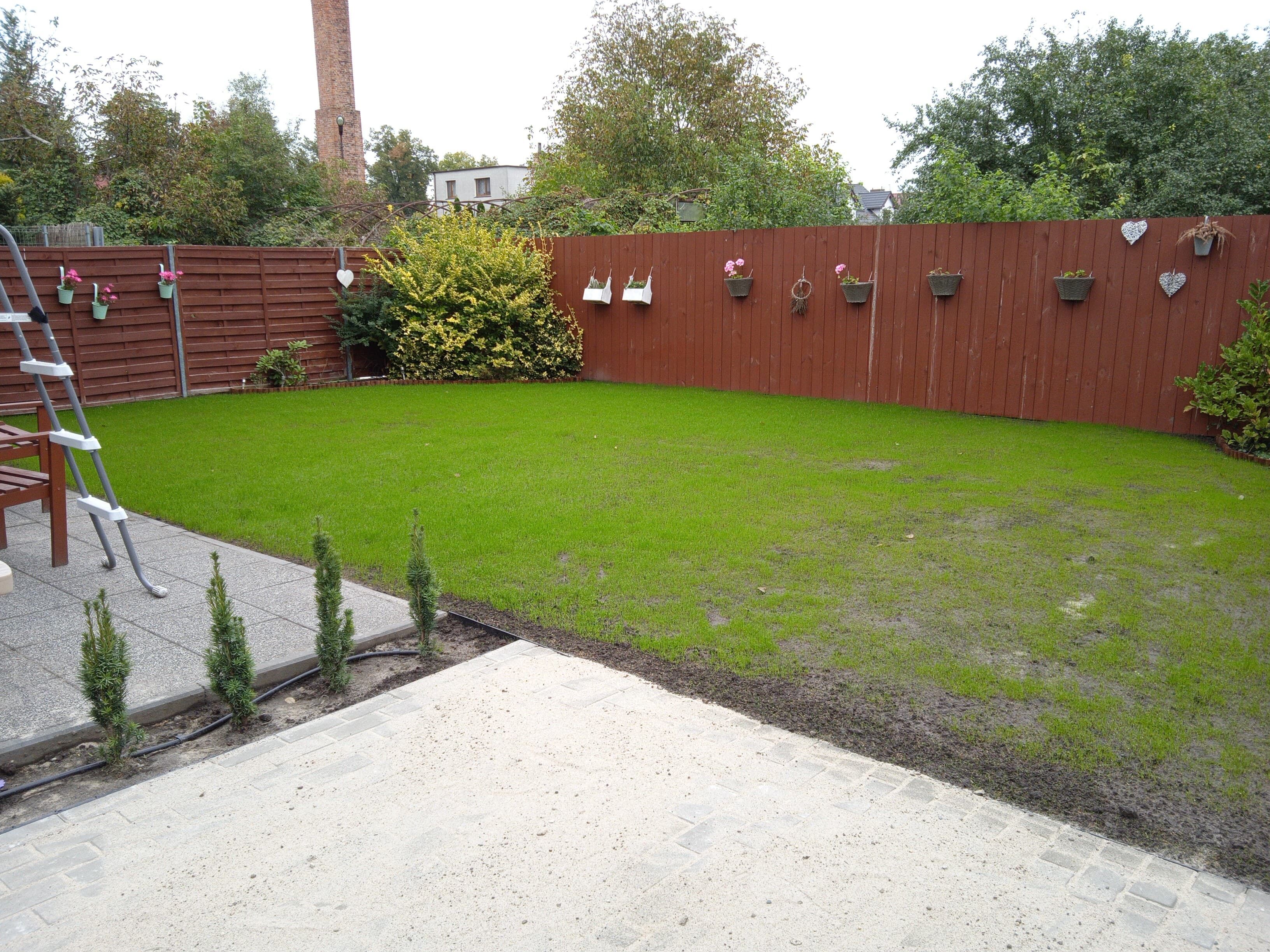 image-426ddd6e4576b902f75b724817b2a26be450df7a-3264x2448-jpg