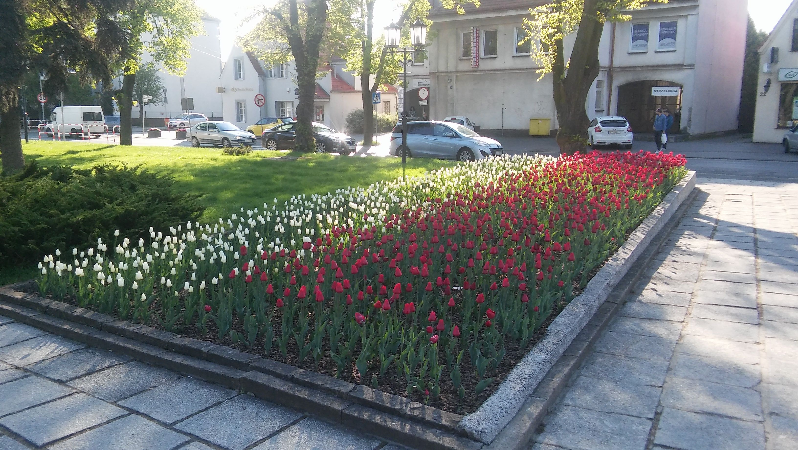 image-43afc31e0558f63b08557b4a49c1cd76053ec458-3264x1840-jpg