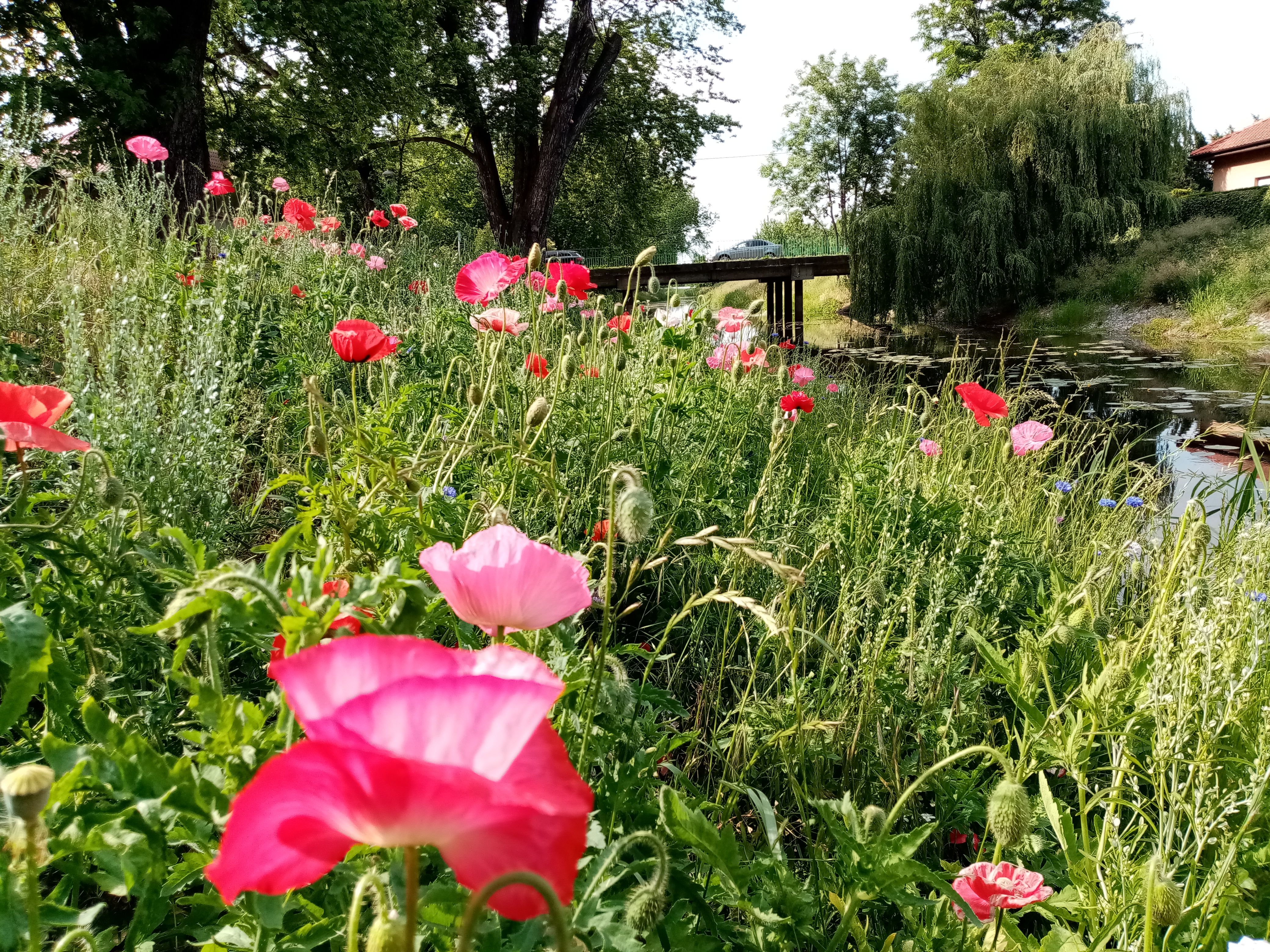 image-44a67da755253dff5666fec33e15d4218201ab55-4160x3120-jpg